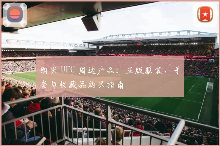 购买 UFC 周边产品：正版服装、手套与收藏品购买指南