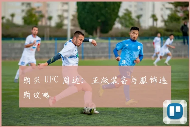 购买 UFC 周边:正版装备与服饰选购攻略